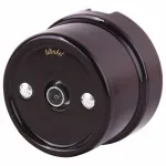 ТВ-розетка без рамки Werkel Retro WL18-02-05 brown