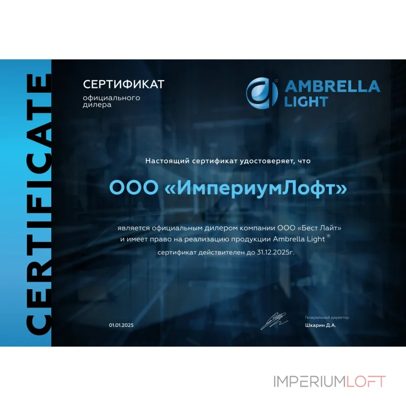 Настенно-потолочный спот в стиле лофт Ambrella TRADITIONAL TR8669