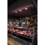 AIXLIGHT® PRO, COB LED MODULE «MEAT» светильник 700mA с LED 26Вт, 3600K, 1300lm, 30°, белый