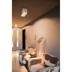 PLASTRA BOX 2 XL светильник потолочный для 2х ламп ES111 GU10 по 17.5Вт макс., белый гипс
