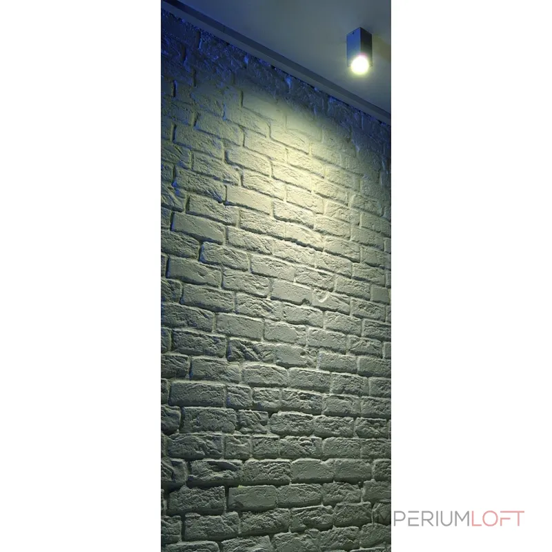 THEO CEILING OUT светильник потолочный IP23 для лампы GU10 35Вт макс., серебристый THEO CEILING OUT светильник потолочный IP23 для лампы GU10 35Вт макс., серебристый