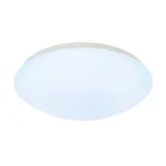 LIPSY 50 SLAVE KELVIN CONTROL светильник накладной с LED 52Вт, 2700-6500К, 3600-4500lm, белый