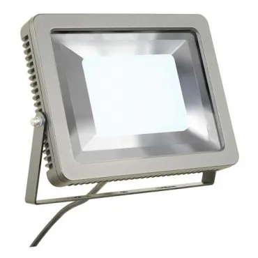 SPOODI 31 светильник IP55 с COB LED 55Вт (60Вт), 4000K, 5500lm, 100°, серебристый