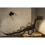 REVILO светильник накладной с LED 9.5Вт, 2700К, 620лм, 15°, черный