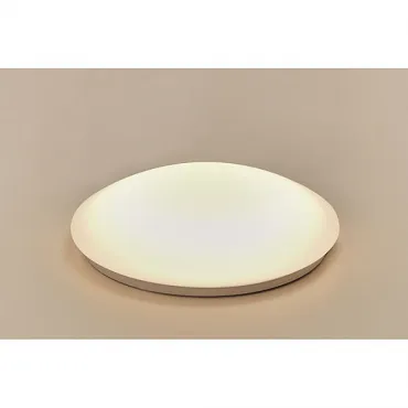 LIPSY® 50 M COLOR CONTROL Slave светильник накладной с LED RGB+3000K, 3400lm, белый