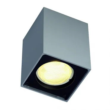 ALTRA DICE CL-1 светильник потолочный для лампы GU10 35Вт макс., серебристый / черный от ImperiumLoft