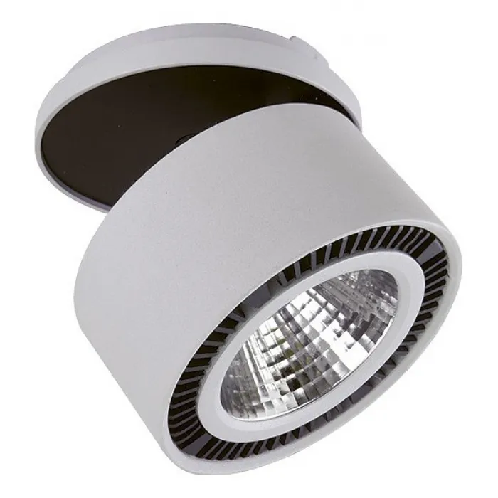 Спот Lightstar Forte 214849 от ImperiumLoft