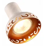 Спот Arte Lamp Focus A5219PL-4WG от ImperiumLoft