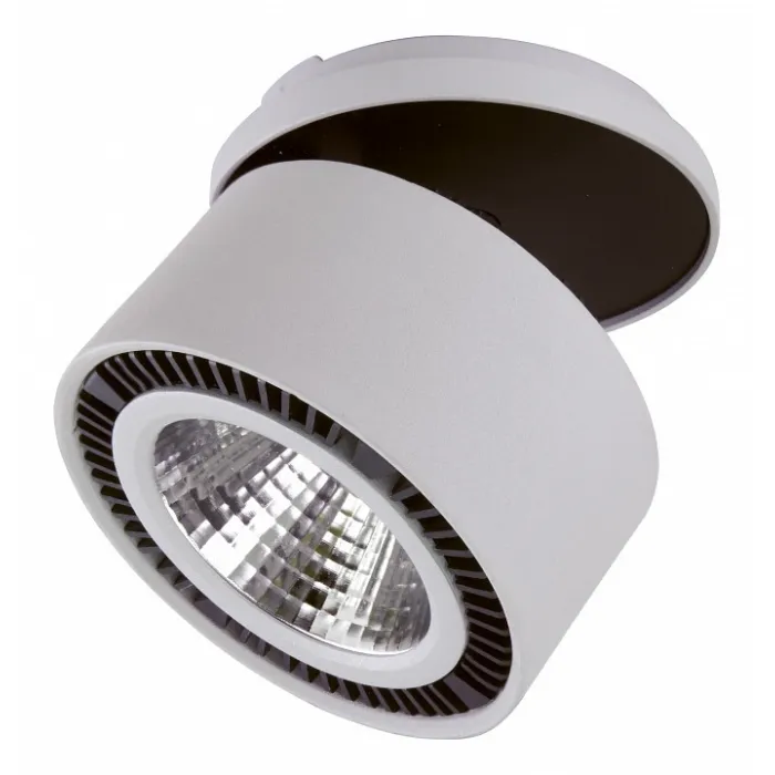 Спот Lightstar Forte Inca 214820 от ImperiumLoft
