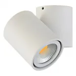Спот Donolux A1594 A1594White/RAL9003 от ImperiumLoft
