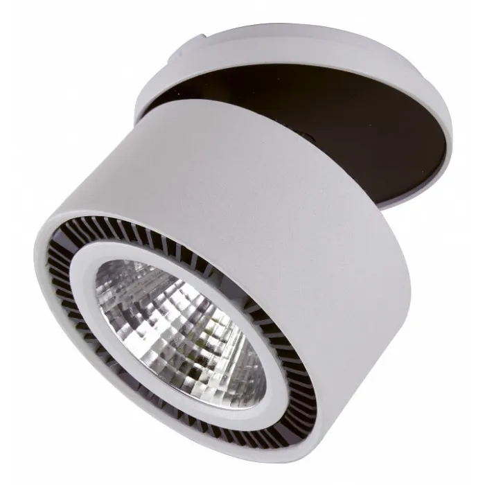 Спот Lightstar Forte Inca LED 213820 от ImperiumLoft
