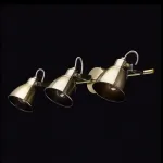 Спот MW-Light Ринген 547020603 от ImperiumLoft