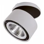 Спот Lightstar Forte Inca 214829 от ImperiumLoft