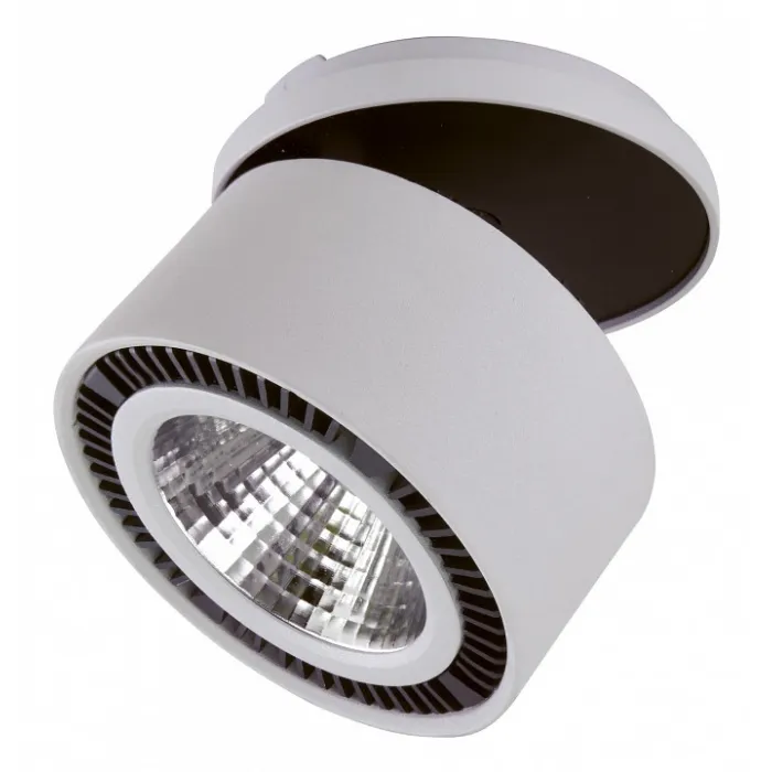 Спот Lightstar Forte Inca LED 213829 от ImperiumLoft