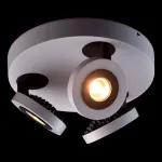 Спот MW-Light Астор 3 545020903 от ImperiumLoft