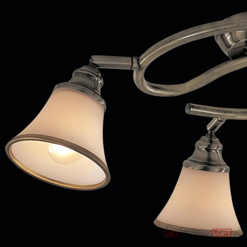 Спот Citilux Прованс CL511143 от ImperiumLoft