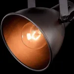 Спот Freya Ibbi FR4276-CW-01-B от ImperiumLoft