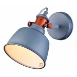 Споты Lucia Tucci Industrial INDUSTRIAL W1820.1 SAND SILVER от ImperiumLoft