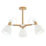 Люстра на штанге EVOLUCE Balcamo SLE103802-03 