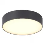 Светильник уличный потолочный ST-Luce SUN SL9518.702.01