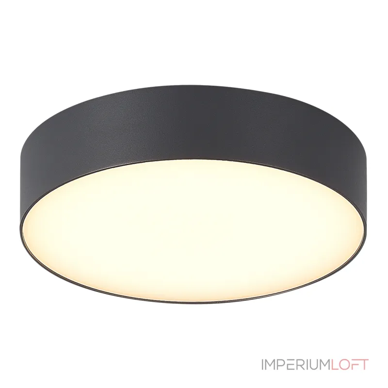 Светильник уличный потолочный ST-Luce SUN SL9518.702.01
