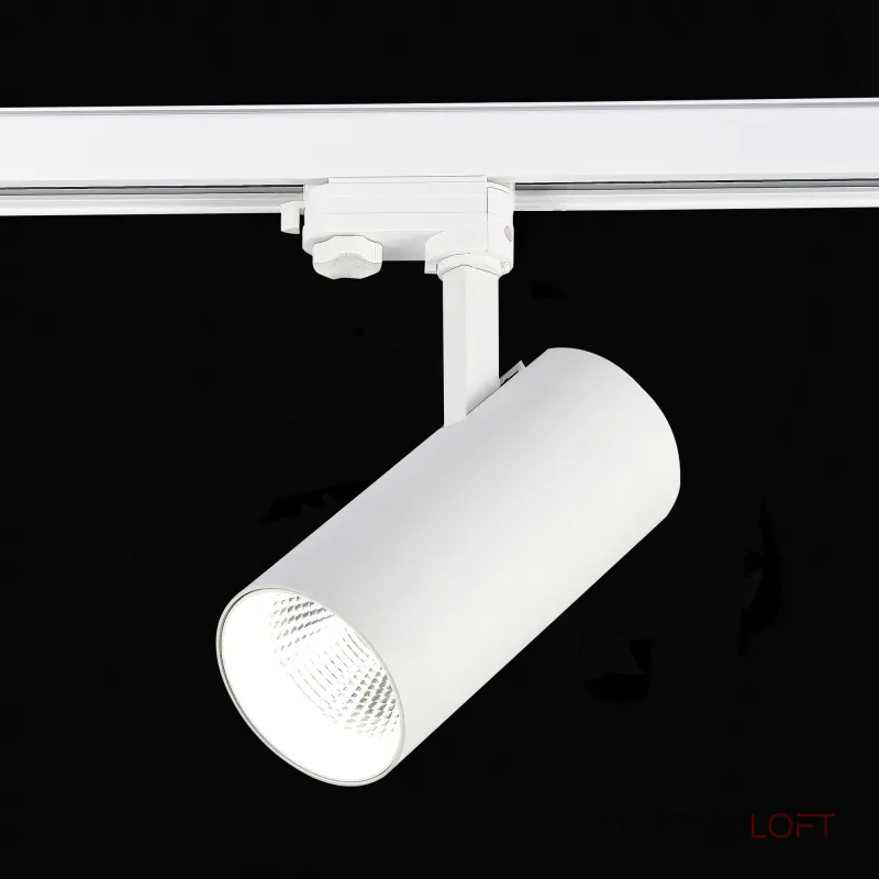 Трековый светильник ST-Luce TRACE ST661.536.40.L