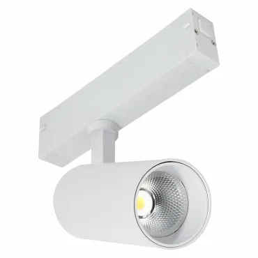 Трековый светильник ST-Luce SKYLINE 220 ST660.546.10H