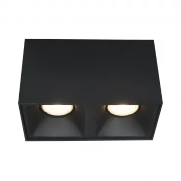 Светильник потолочный ST-Luce ST168.402.02 Светильник потолочный ST-Luce ST168.402.02