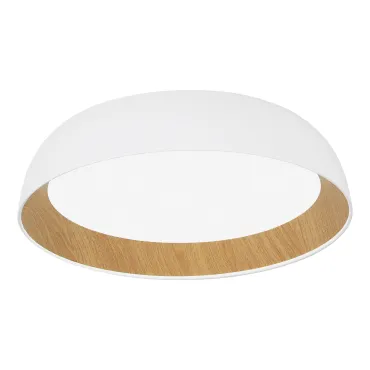 Потолочный светильник EVOLUCE МЬЮЗЕ SLE1812-502-01 Потолочный светильник EVOLUCE МЬЮЗЕ SLE1812-502-01