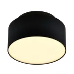 Светильник потолочный ST-Luce ST166.442.17