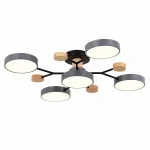 Потолочная люстра EVOLUCE Faema SLE6006-702-05 от ImperiumLoft