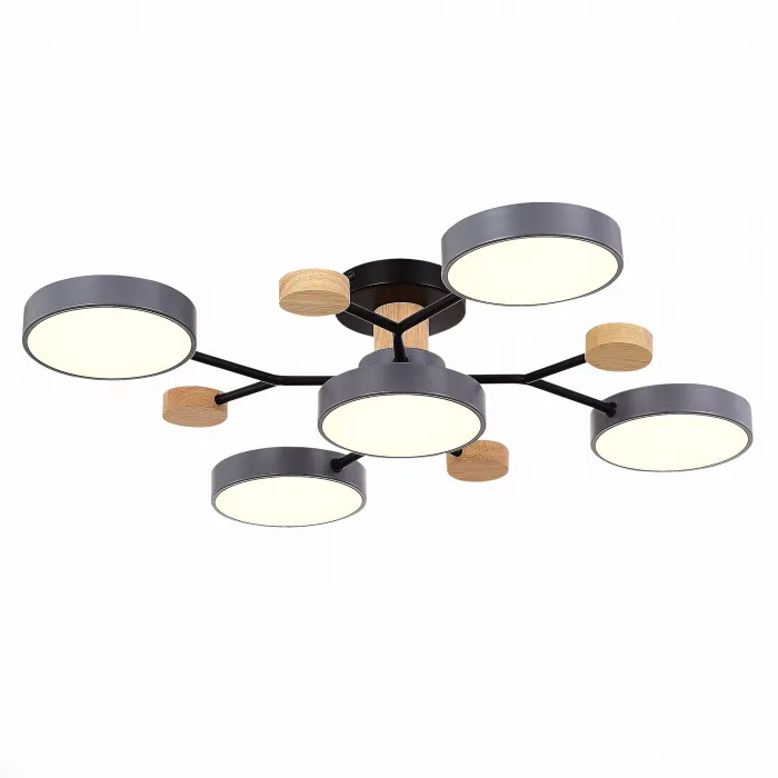 Потолочная люстра EVOLUCE Faema SLE6006-702-05 от ImperiumLoft
