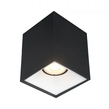 Светильник потолочный ST-Luce ST168.452.01