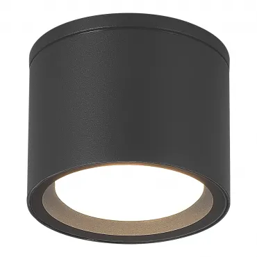Светильник уличный потолочный ST-Luce TUBO SL9006.702.01