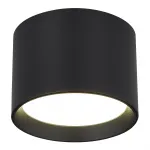 Светильник потолочный ST-Luce ST163.402.01