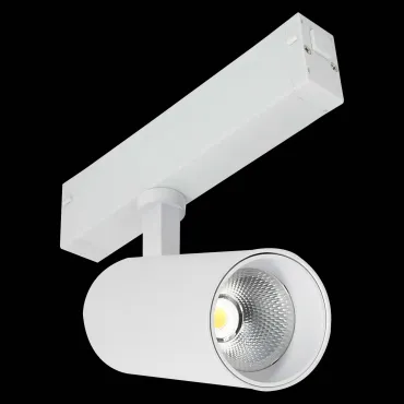 Трековый светильник ST-Luce SKYLINE 220 ST660.596.10H