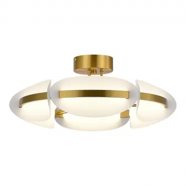 Светильник потолочный ST-Luce ETOILE SL1304.302.45