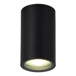 Светильник уличный потолочный ST-Luce TUBO SL9010.412.01