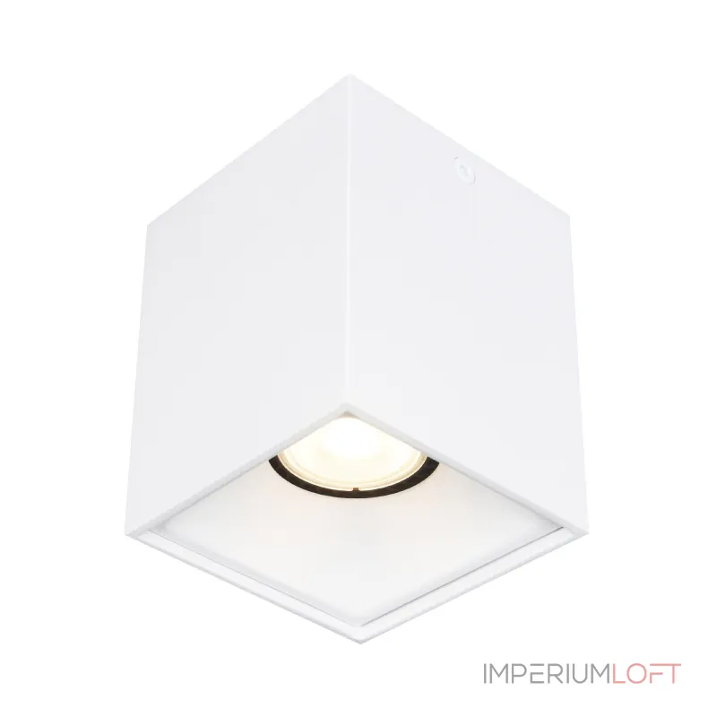 Светильник потолочный ST-Luce ST168.502.01