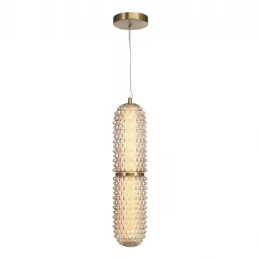 Подвесной светильник ST-Luce SAGUARO SL6144.303.01