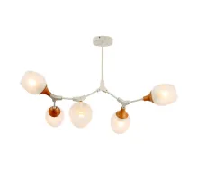 Люстра на штанге EVOLUCE Ciotolla SLE113502-05  Люстра на штанге EVOLUCE Ciotolla SLE113502-05