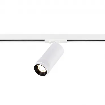 Светильник трековый ST-Luce ST385.536.20