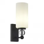 Светильник настенный ST-Luce AURORA SL2003.401.01