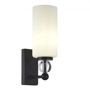 Светильник настенный ST-Luce AURORA SL2003.401.01