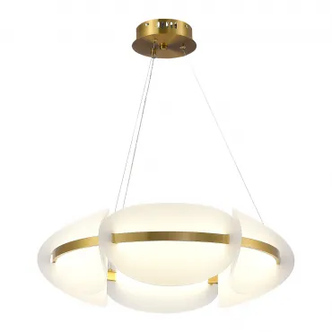 Светильник подвесной ST-Luce ETOILE SL1304.203.45