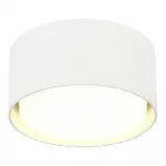Светильник потолочный ST-Luce ST164.502.01