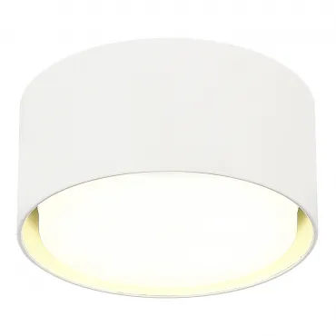 Светильник потолочный ST-Luce ST164.502.01