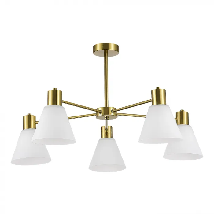 Светильник потолочный EVOLUCE ARKI SLE1561-302-05 от ImperiumLoft