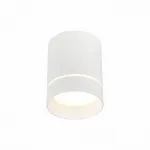 Светильник накладной светодиодный ST-Luce ST115.542.07
