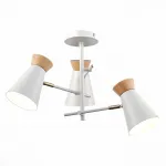 Потолочная люстра EVOLUCE Alfeo SLE1252-502-03 от ImperiumLoft